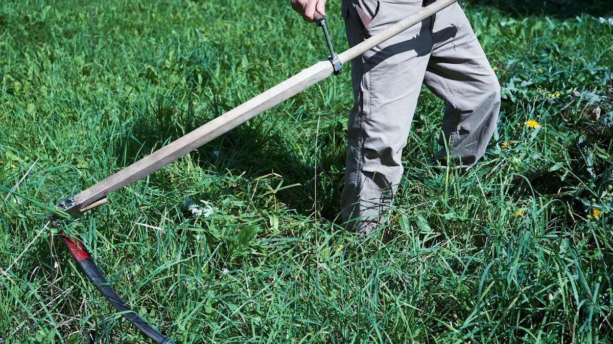 A Closer Look at Galvanized Steel Edging for Gardens in 2025