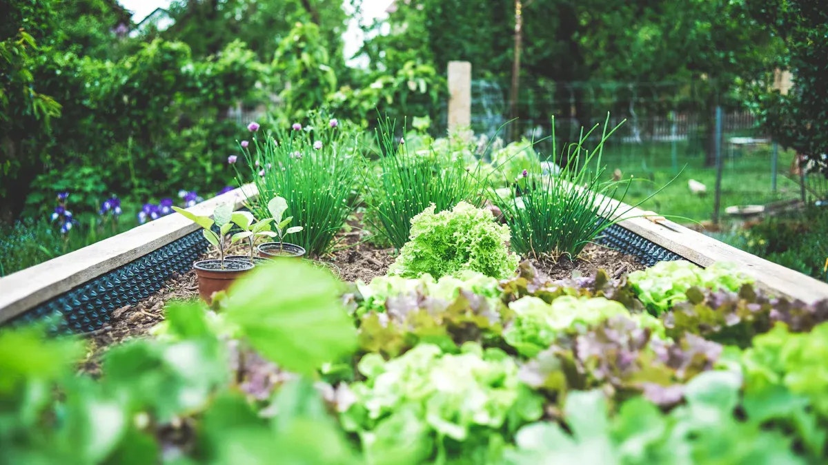 Metal Raised Garden Beds and Soil Overheating