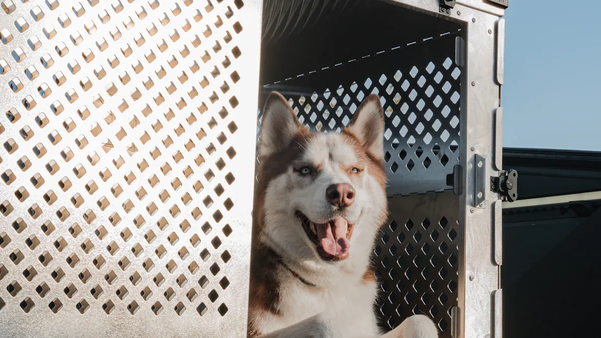 Galvanized Steel Dog Kennels for Outdoors: What Works and What Doesn’t
